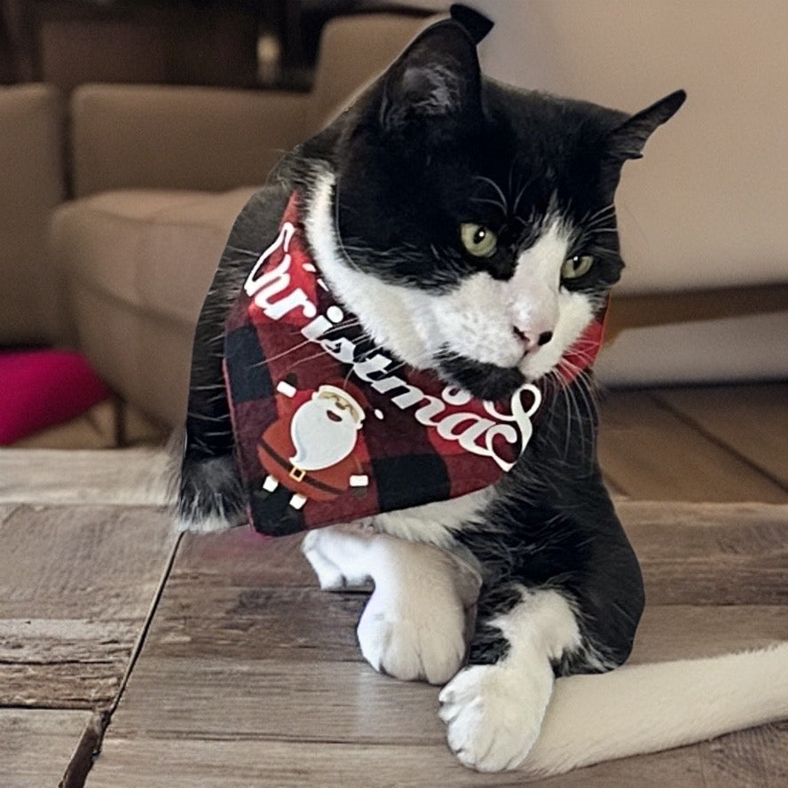 Cat Christmas Scarf (or small dog)